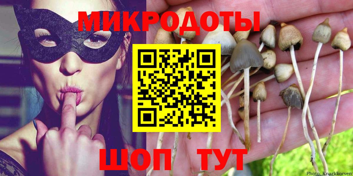 Галлюциногенные грибы прущие грибы  Вход с VPN  Северобайкальск 