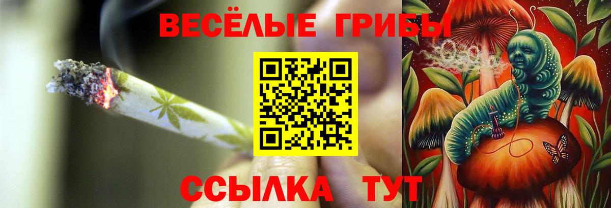 Галлюциногенные грибы прущие грибы Северобайкальск